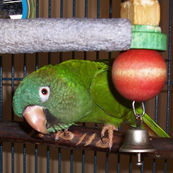 Meet your Posher, A - Picture 1 of 2